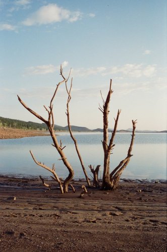 IMG_1390.jpg
