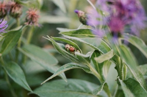 IMG_5436 (1).jpeg