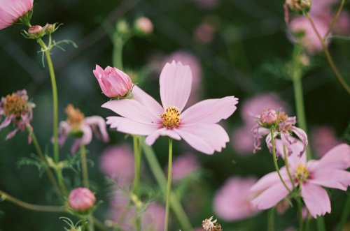 IMG_5441.jpeg