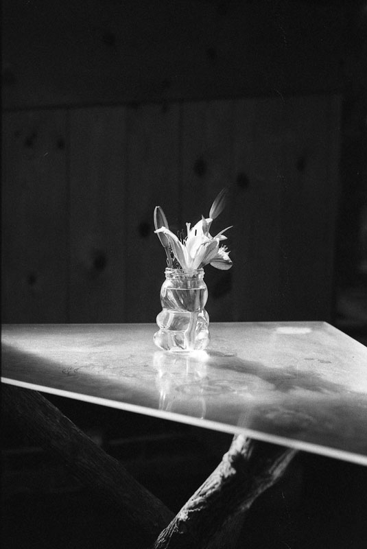 leica_m6_classic_lucky_film_400_1772231485.jpg
