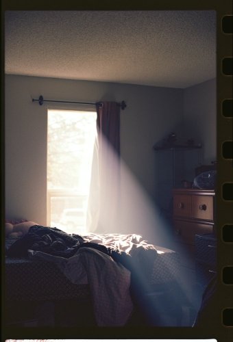 nikonf2-light.jpg